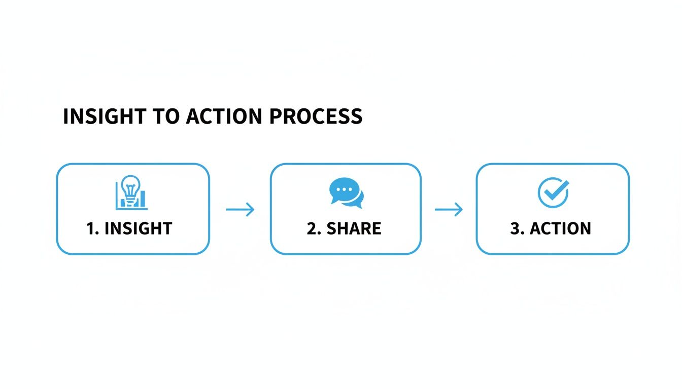 Diagram illustrating the 'Insight to Action Process' with three sequential steps: Insight, Share, and Action.