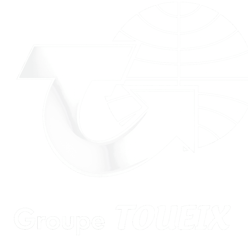 Logo groupe toueix