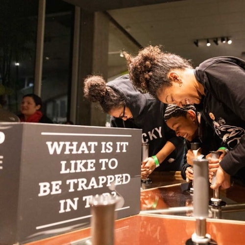 Learning at the Tar Pits