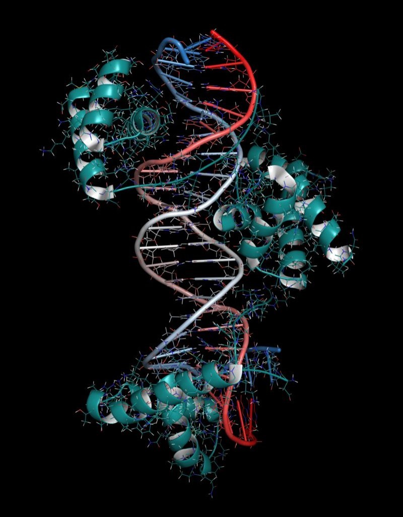 __wf_reserved_inherit