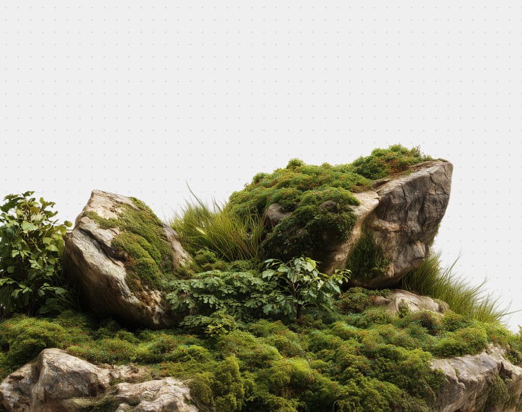 A lush, green landscape showcases moss-covered rocks and vibrant foliage against a white background, highlighting the natural beauty and texture of the scene.