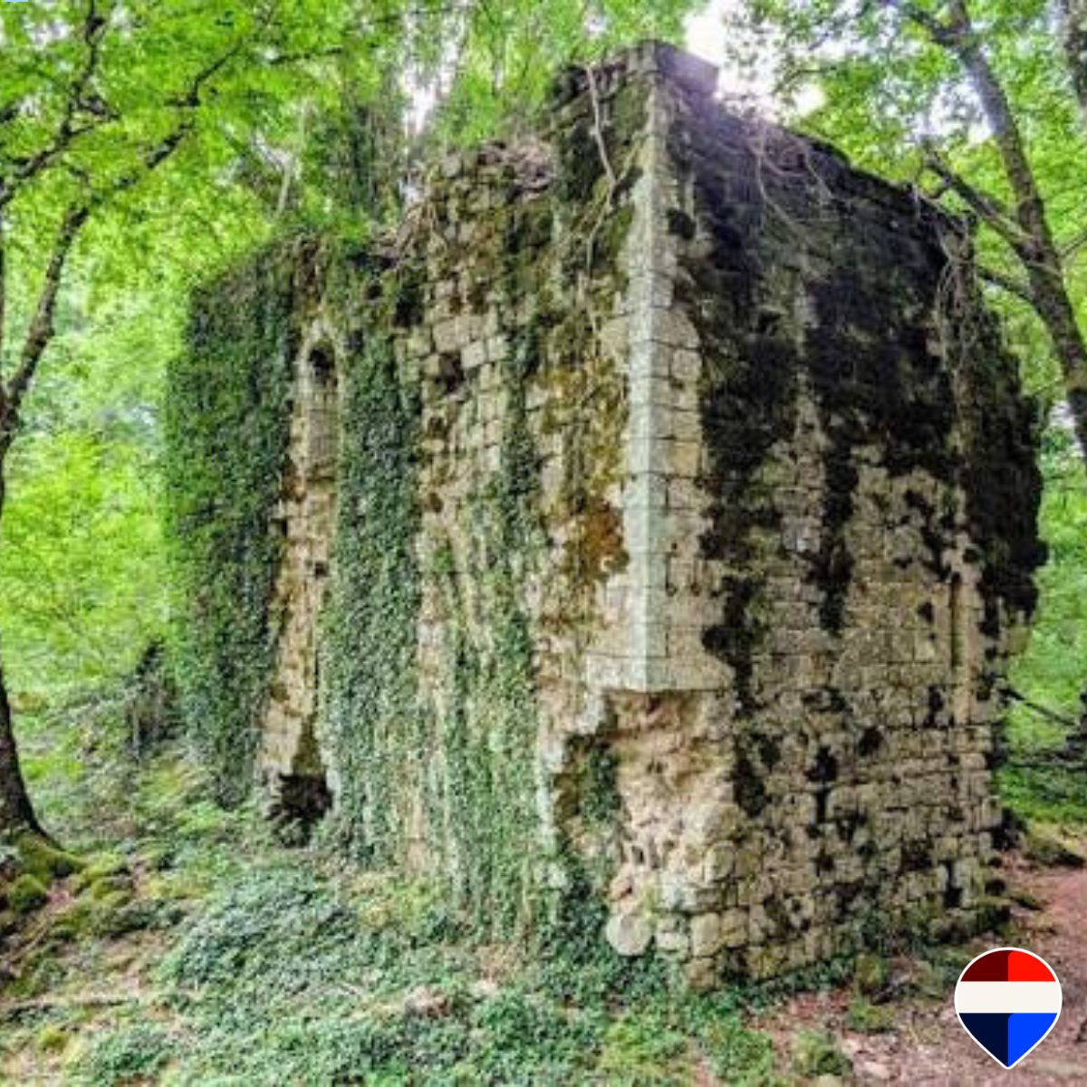 Stone ruins in the woods near Sassofortino, in the Tuscan Maremma, province of Grosseto
