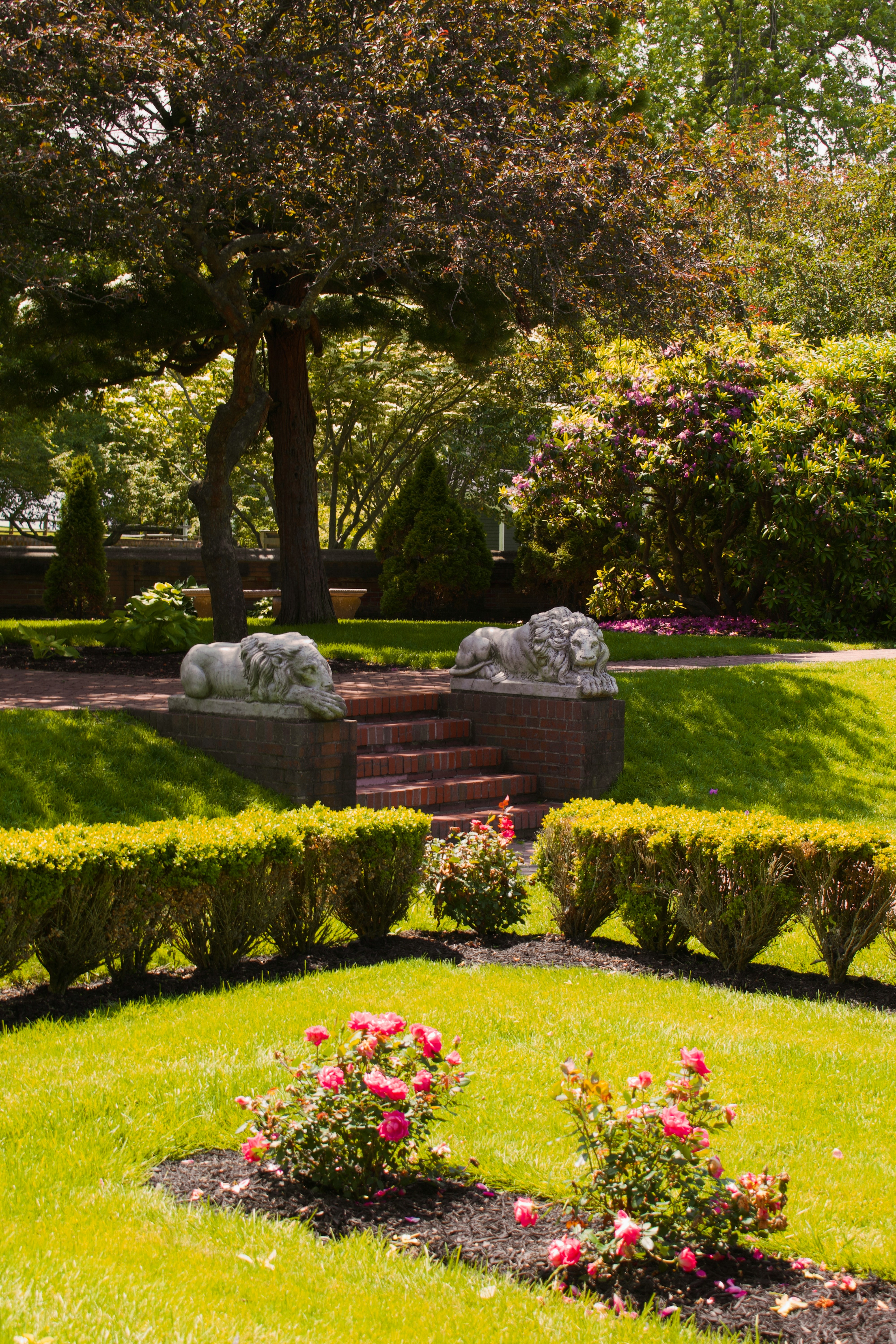 a couple of bushes and some flowers in a yard