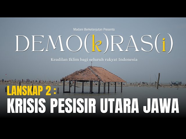 Close-up of lush, dark green leaves, some glossy and wet, against a muted background.