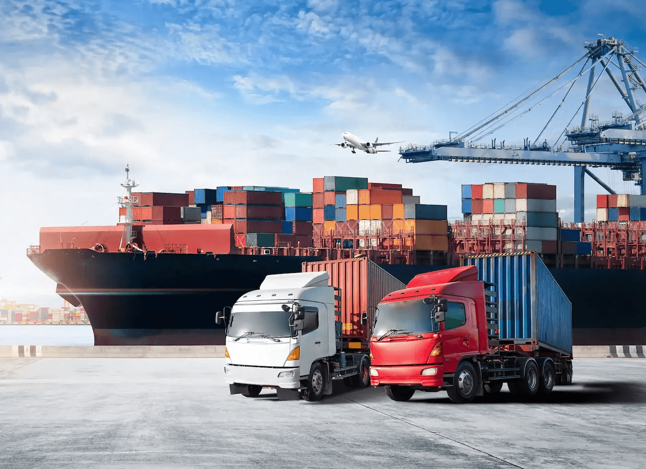 Logistics and Supply Chain