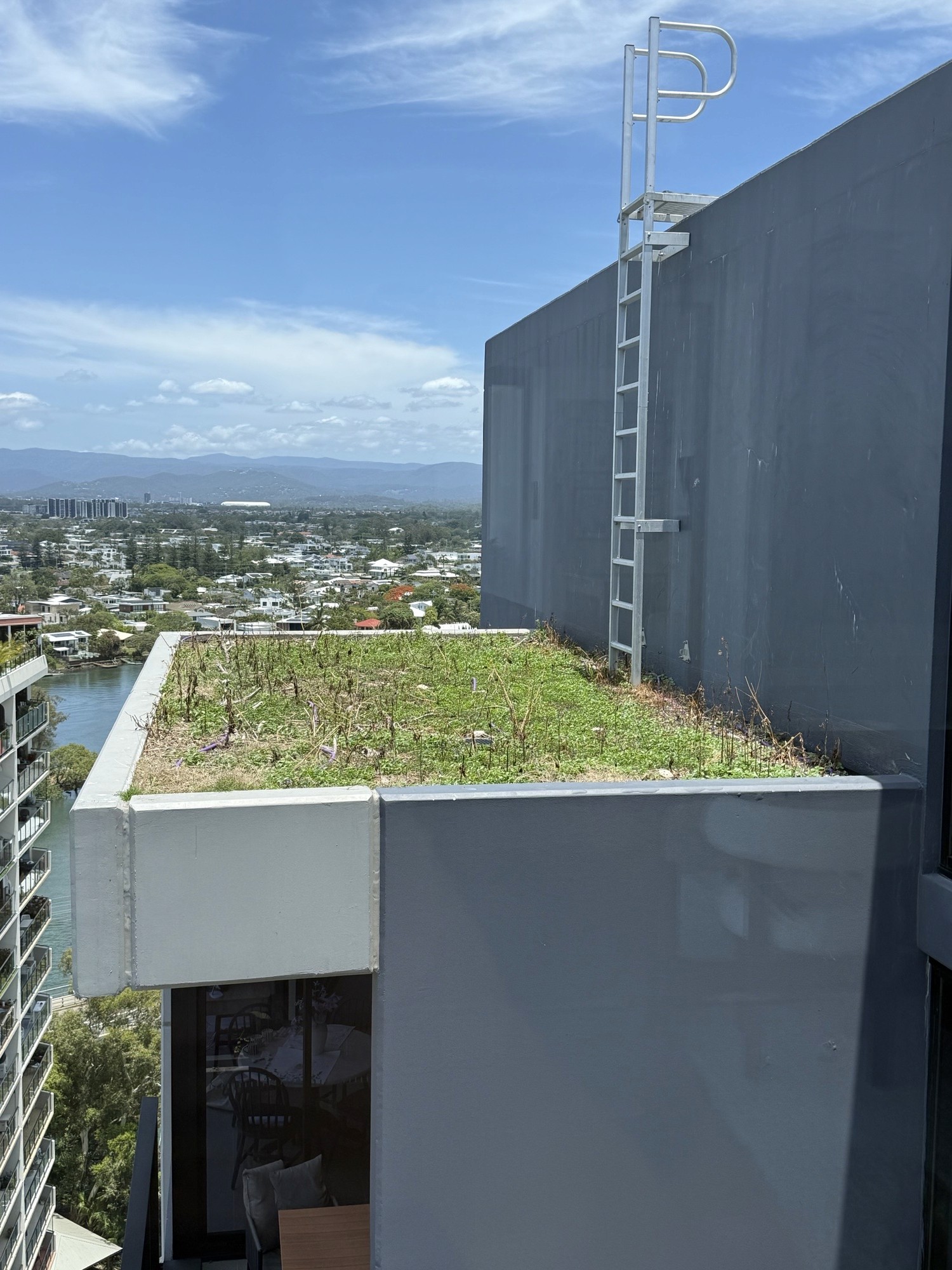 Rooftop garden bed overgrown with weeds before restoration commercial building Surfers Paradise Gold Coast