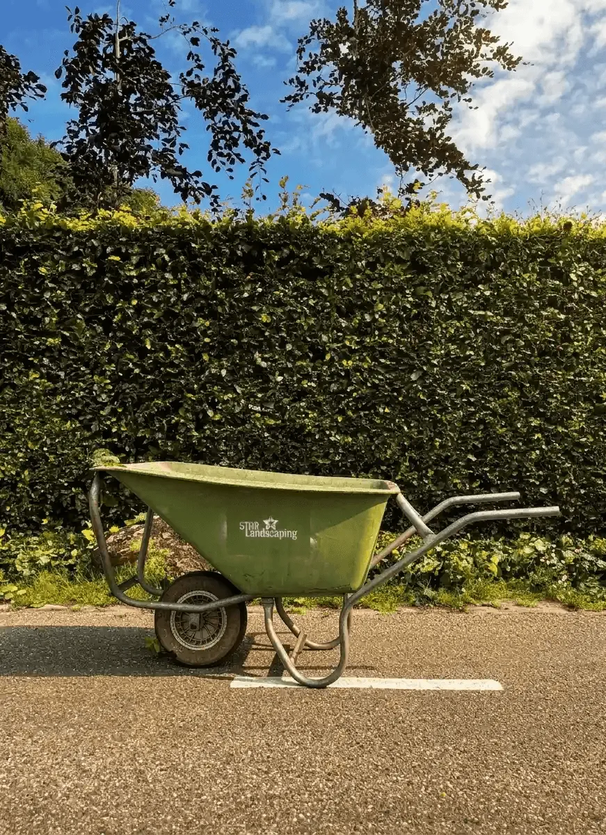 Duurzaam tuinderhoud in Katwijk door Star Landscaping