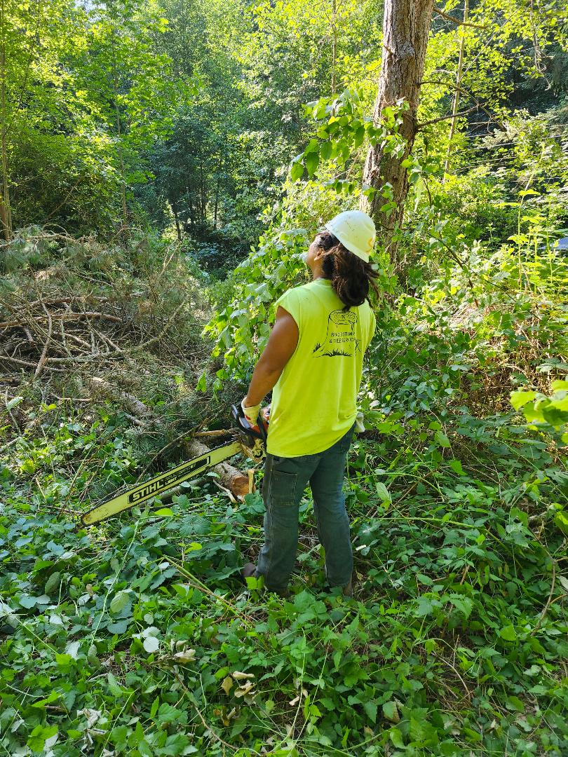 Tree Service