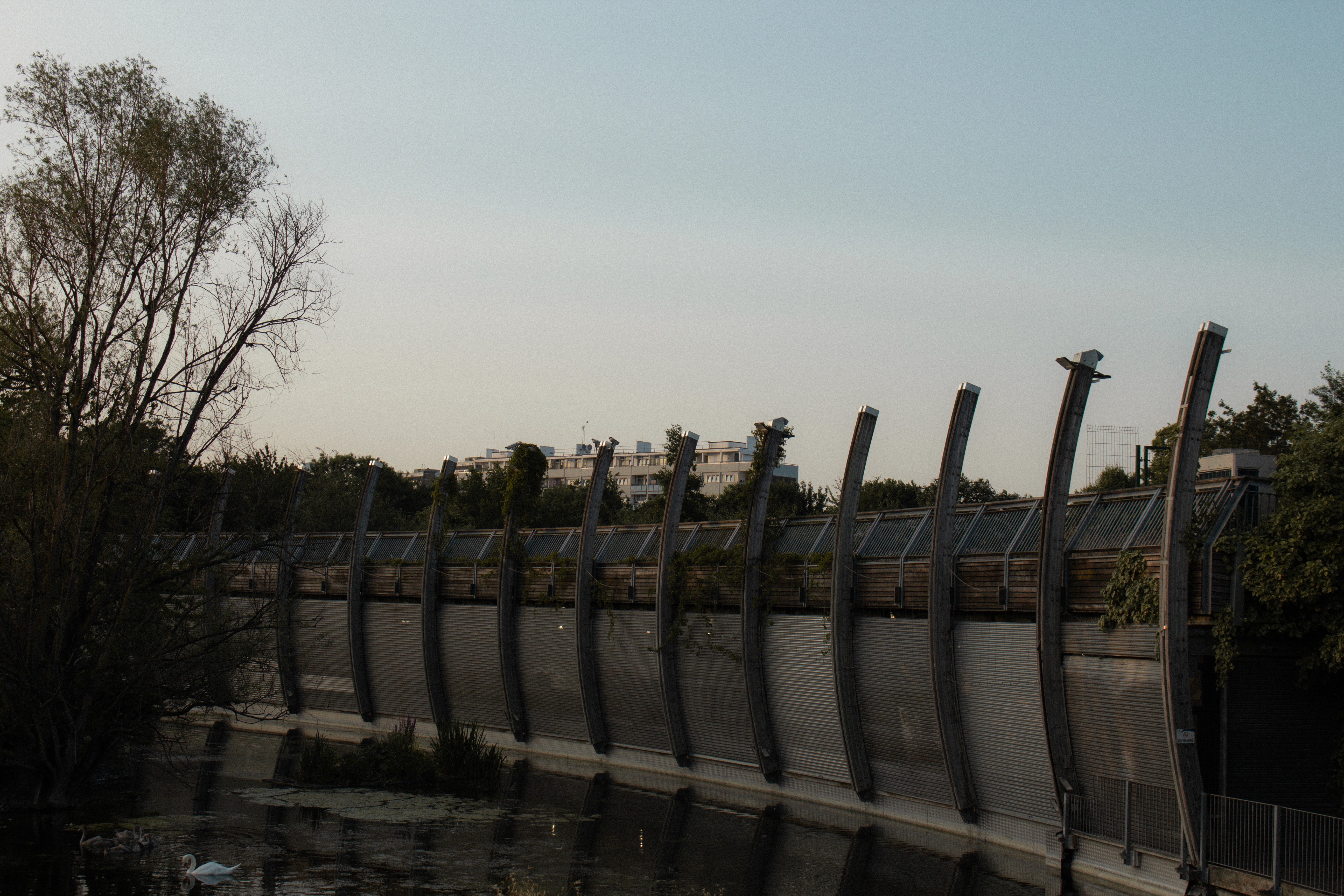 Man Wearing Black Coat