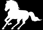 Top Reiter logo