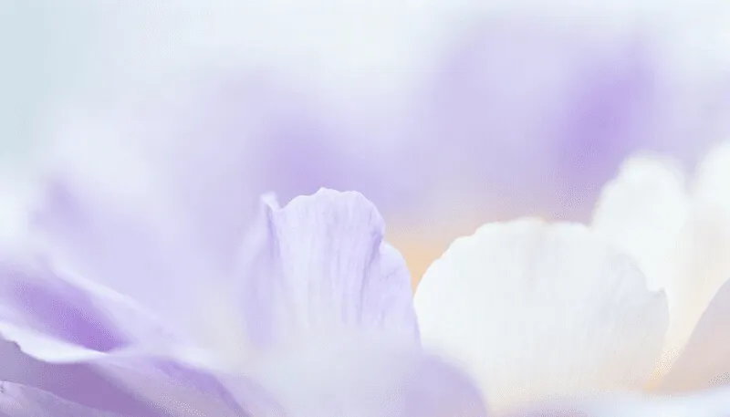 Card Background Image