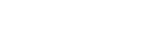 Logo NHAZCA