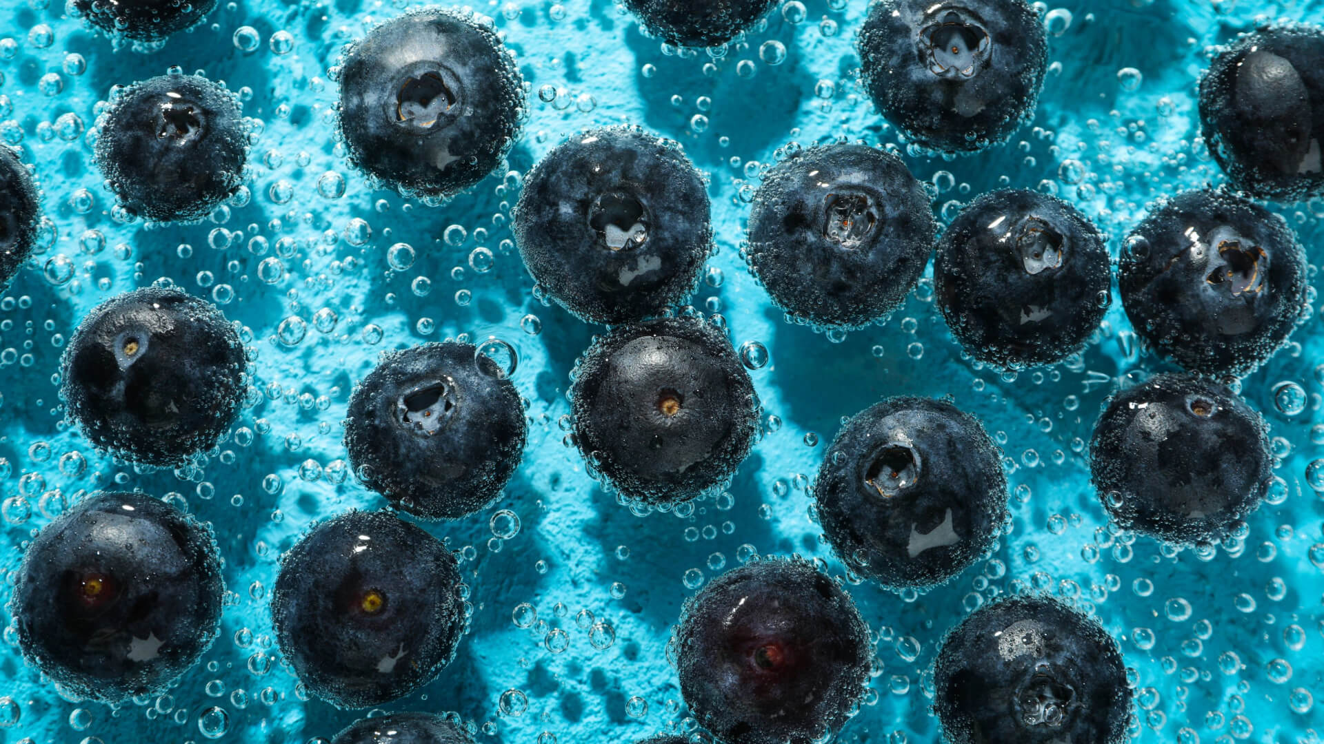 Blaubeeren unter Wasser mit Luftblasen – coazul Studio Branding