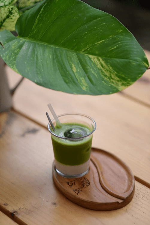 Sencha Green Tea
