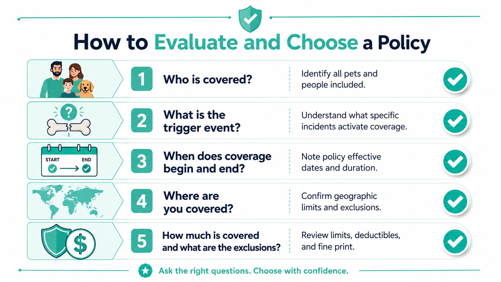 An infographic titled How to Evaluate and Choose a Policy listing five essential steps for insurance coverage.