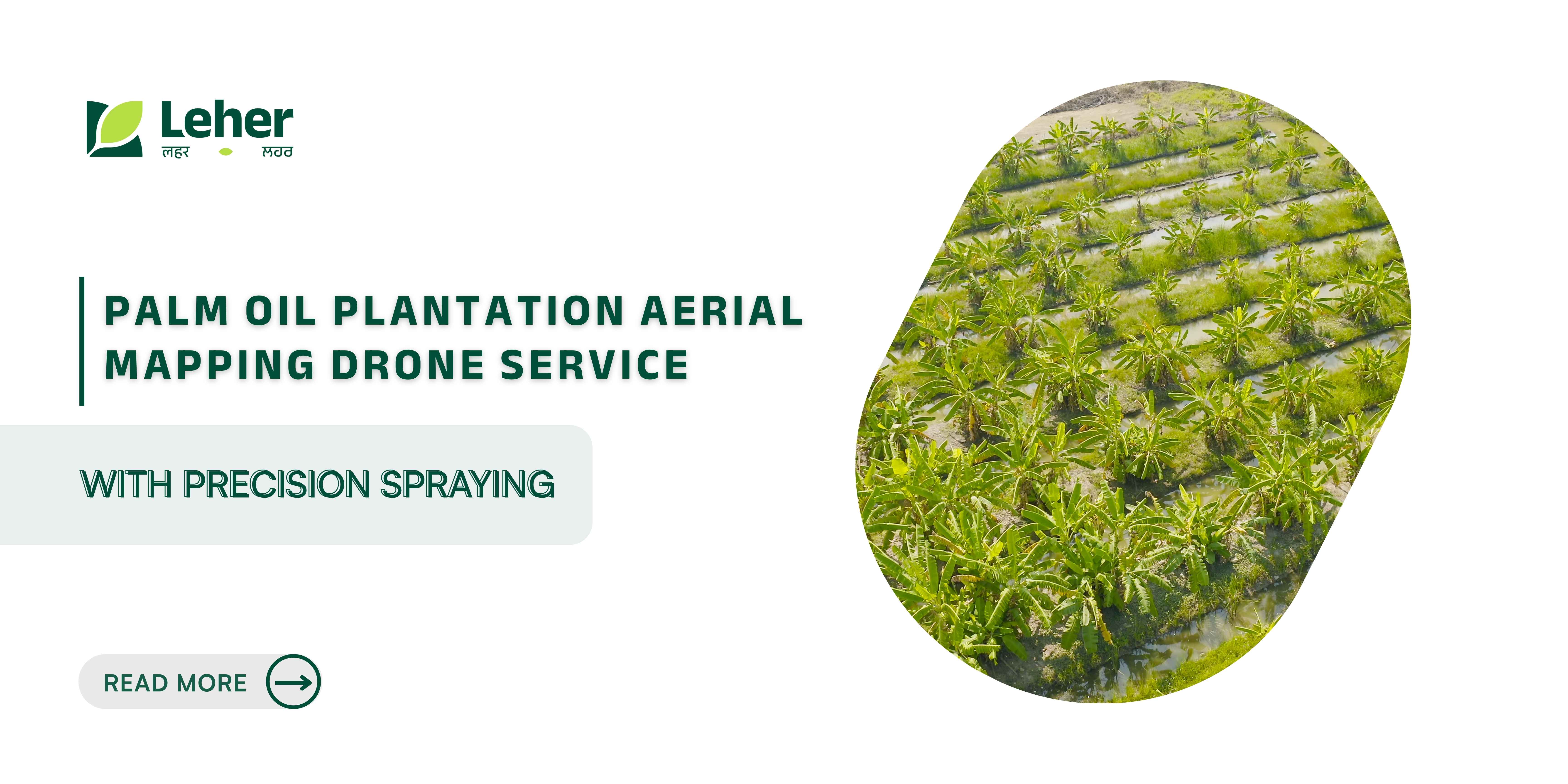 Palm Oil Plantation Aerial Mapping Drone Service with Precision Spraying