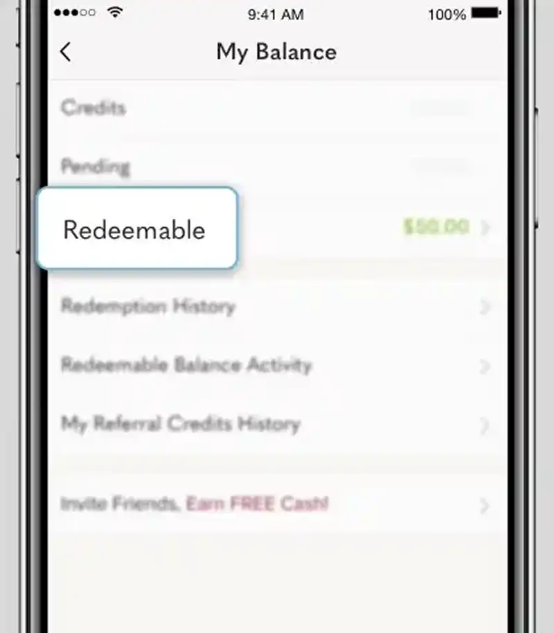 Poshmark Redeemable Balance