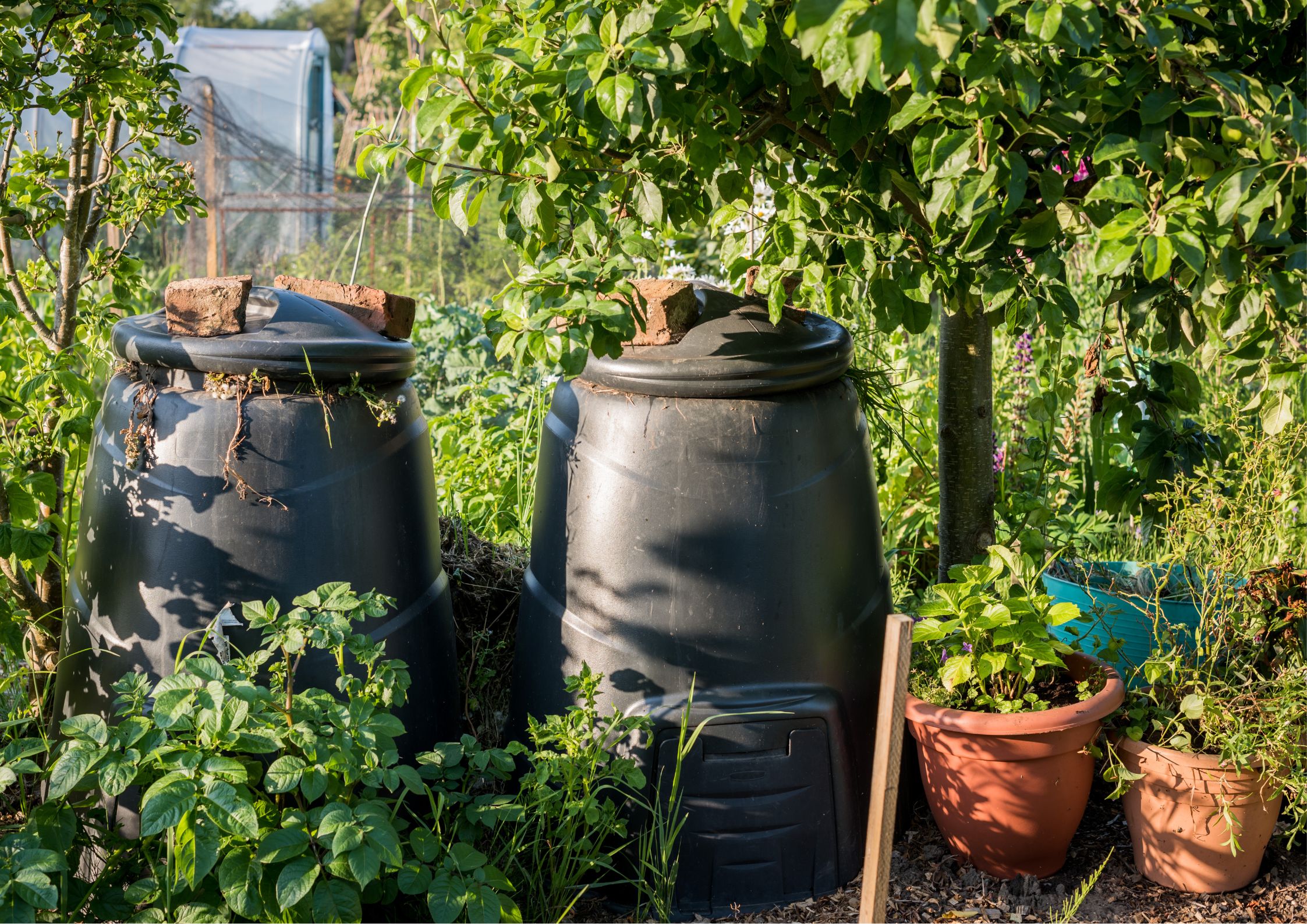 Step-by-Step Hot Composting Process