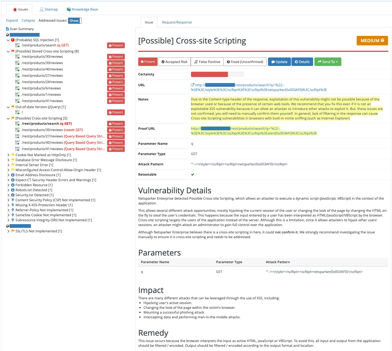 The old Scan Report. A large summary area sits at the top, pushing the actual issue review further down the page.