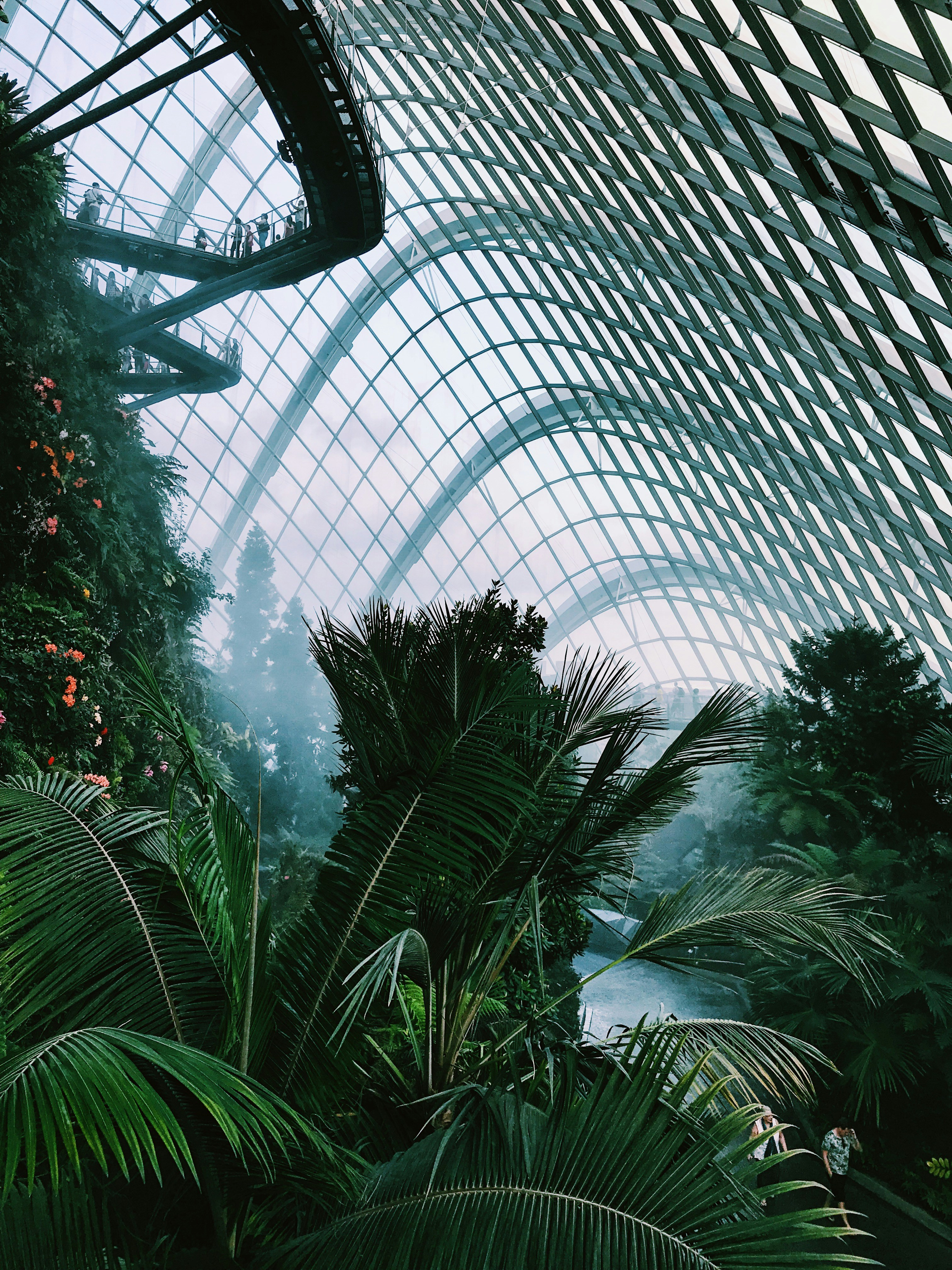 huge botanical garden