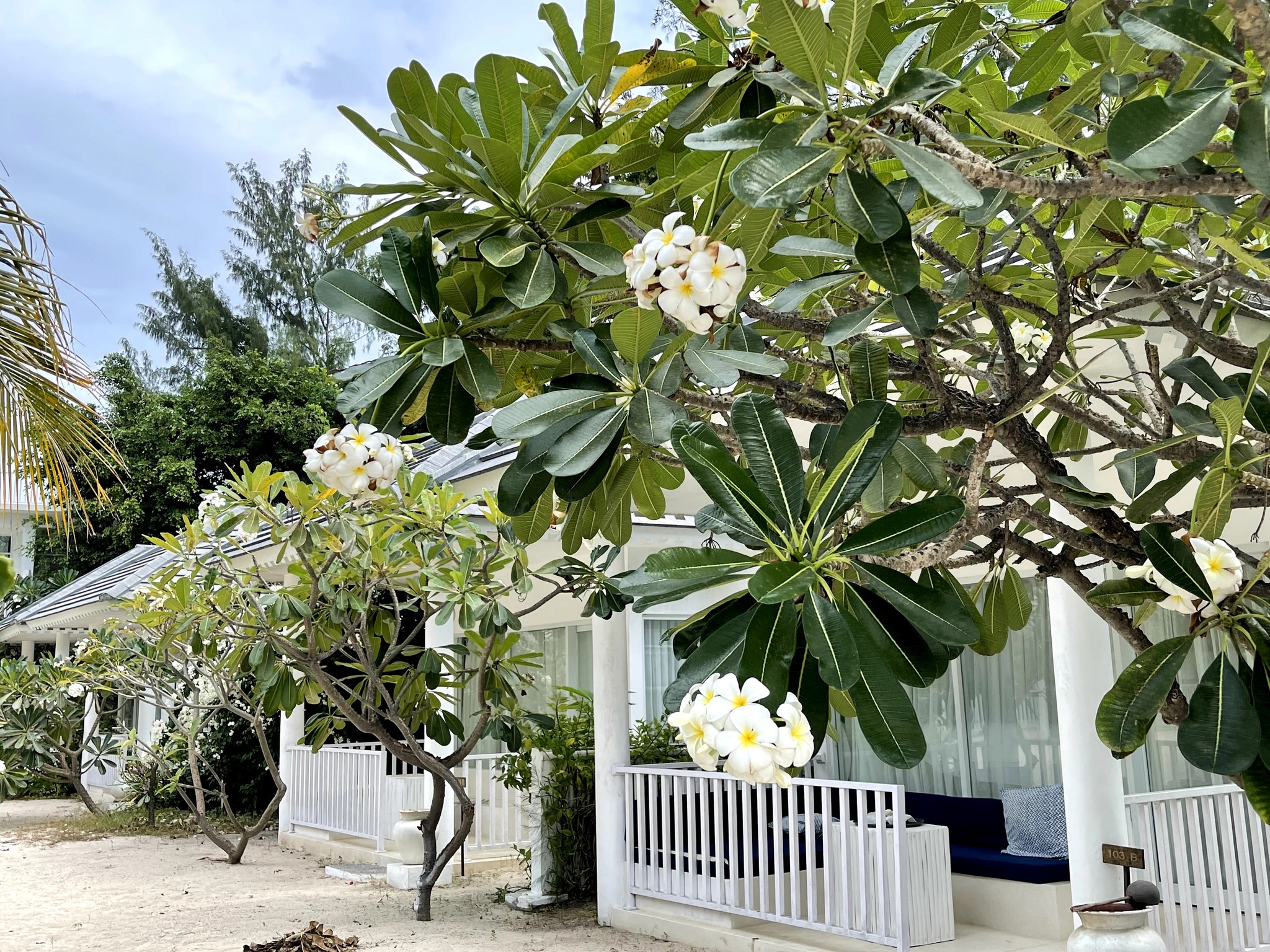 Seri Beach Bungalow Exterior Trees