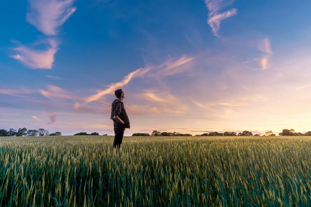 Organic Framer looking at the horizon