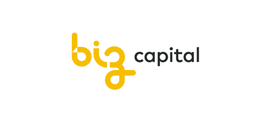 Logo Biz Capital