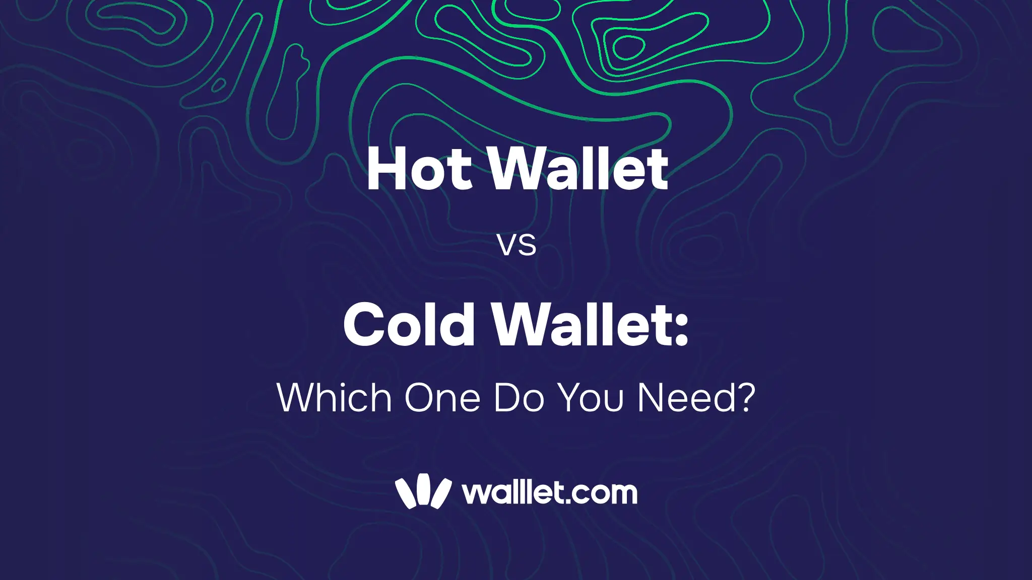 Hot Wallet vs Cold Wallet: Which One Do You Need?