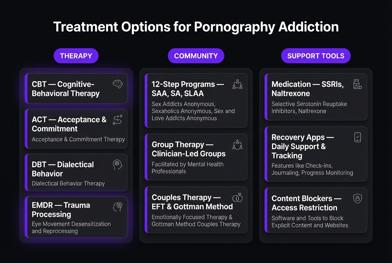 an infographic showing the different treatment options available for porn addiction