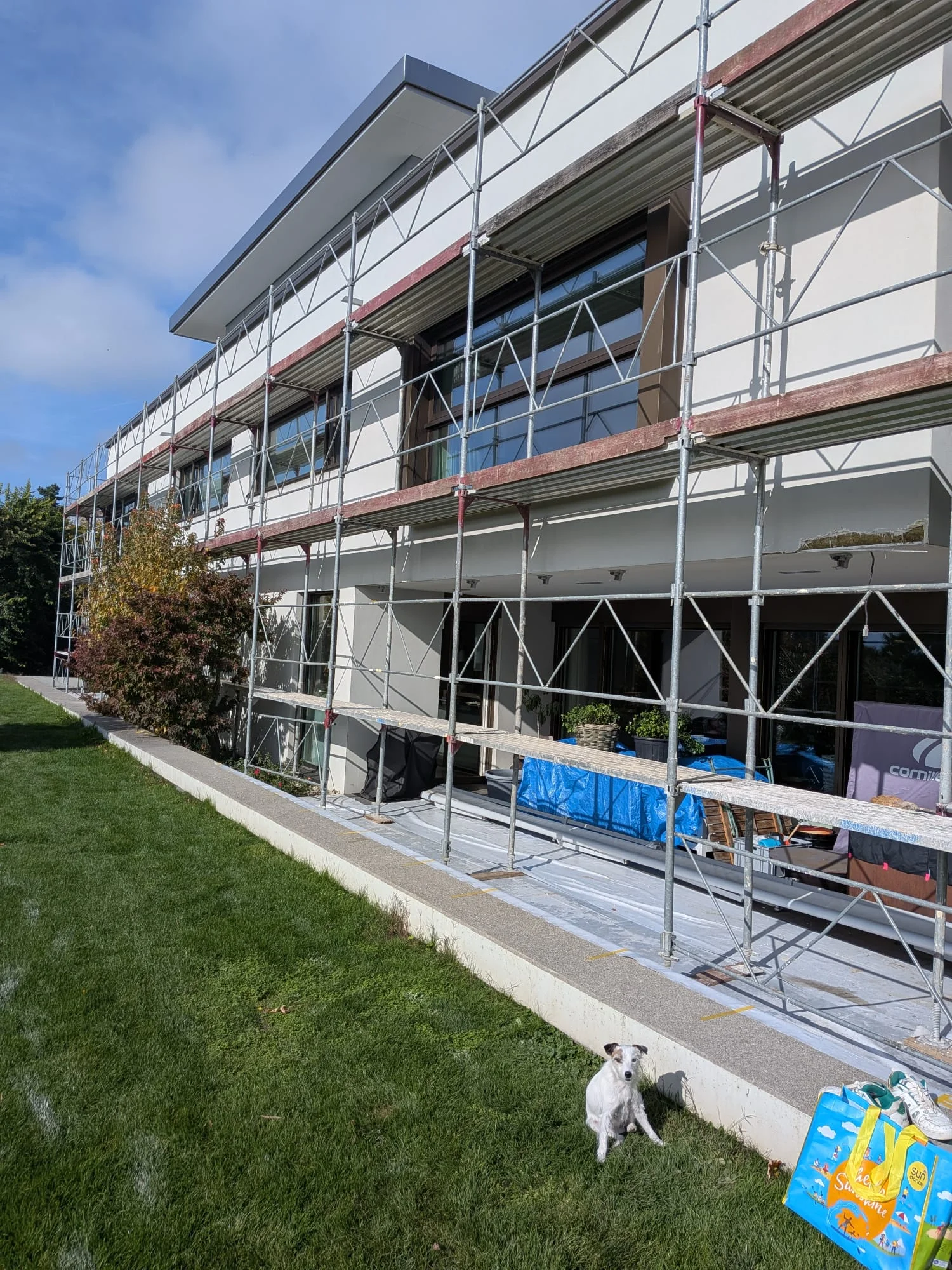 Dekorative Spachteltechnik Wandgestaltung Zürich