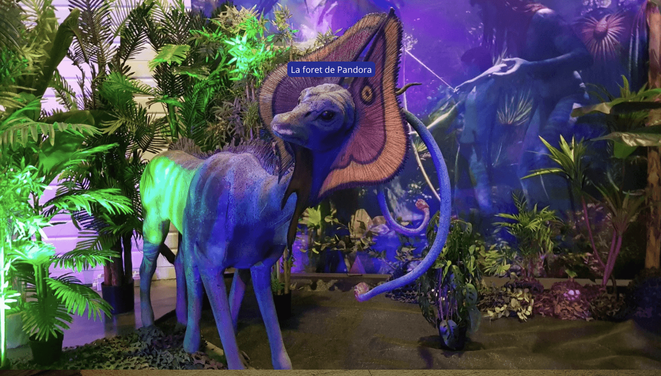 decor-soiree-theme-monde-des-sorciers-pandora