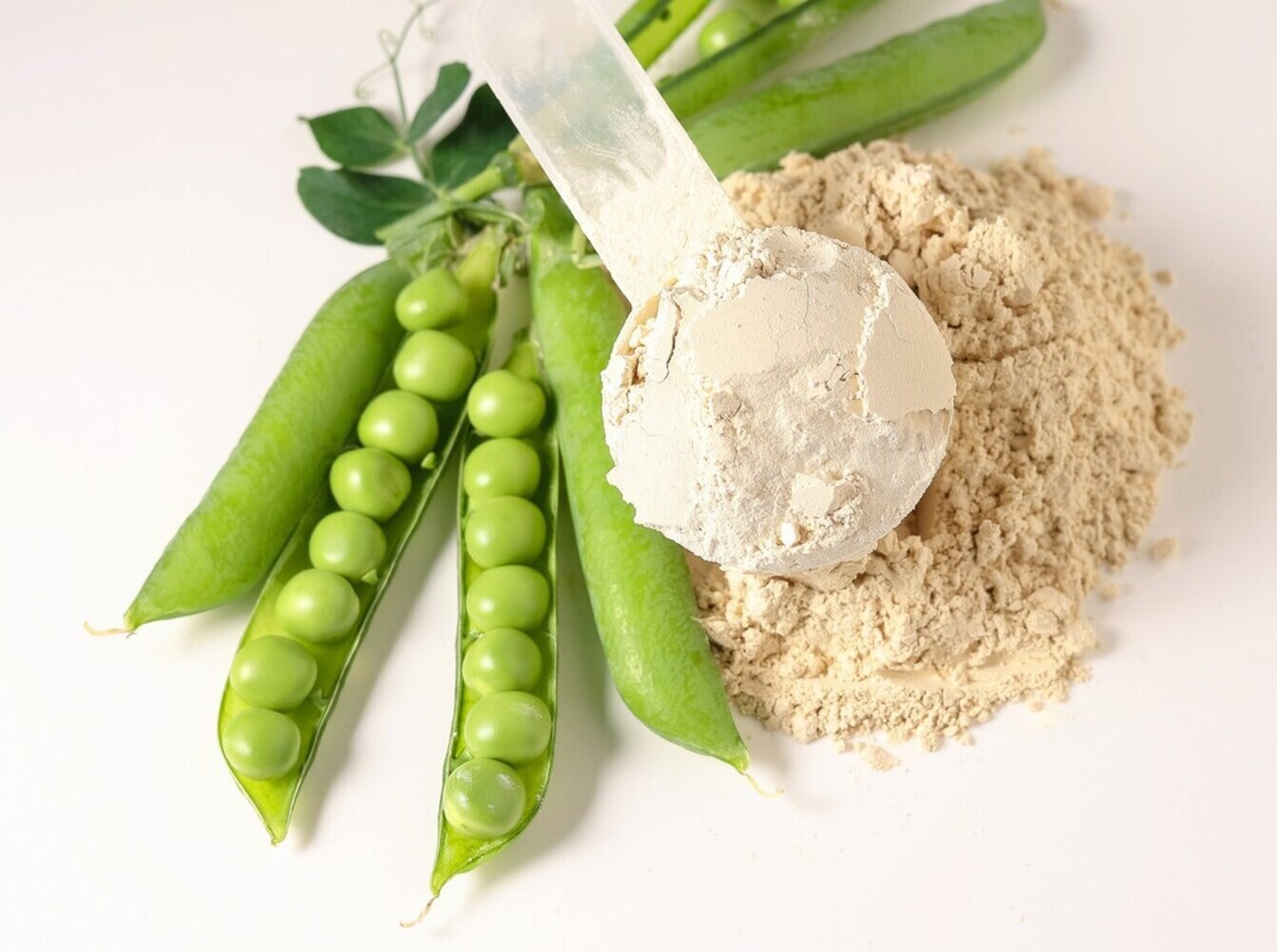 eating more protein to lose weight