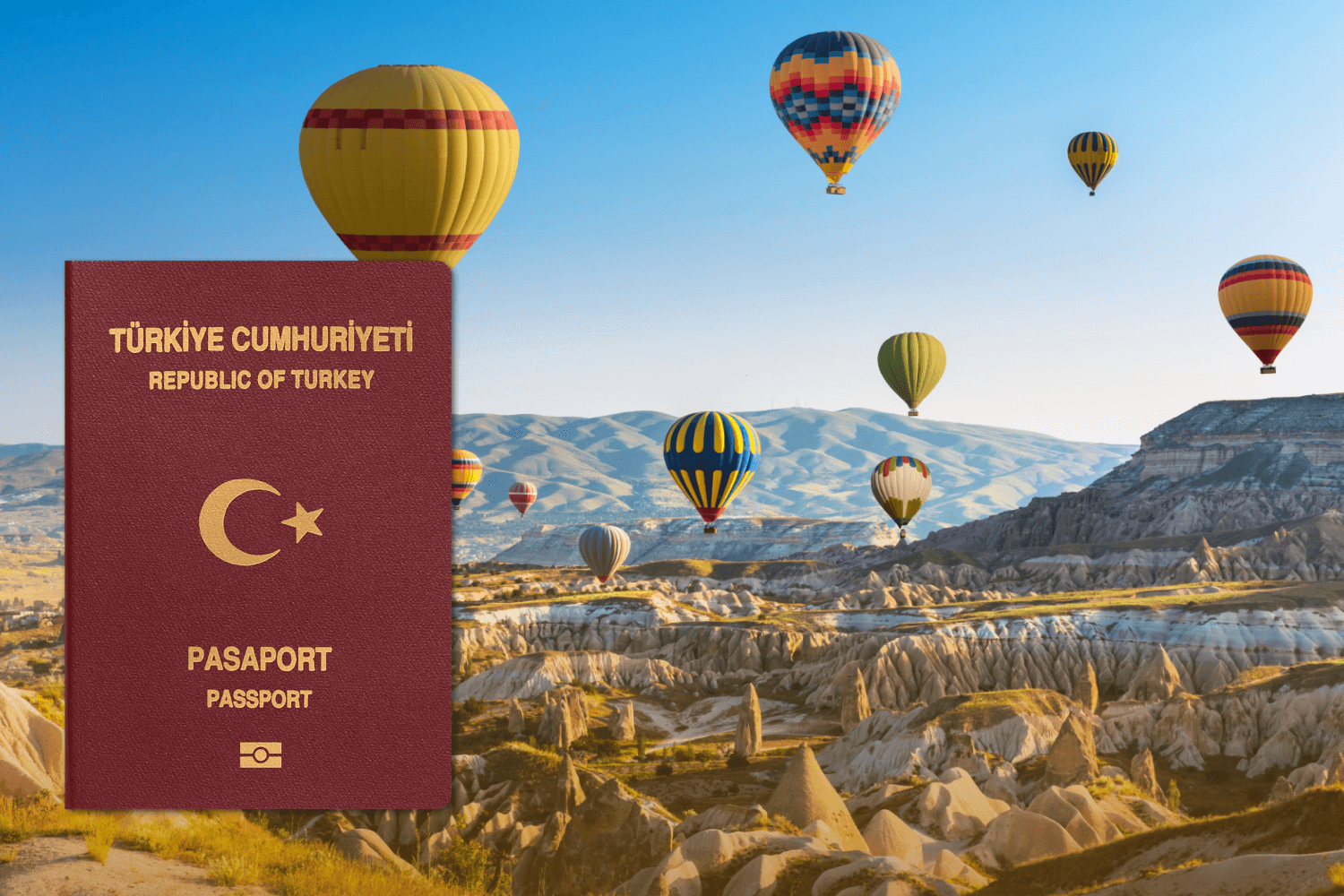 Programme d'investissement turc