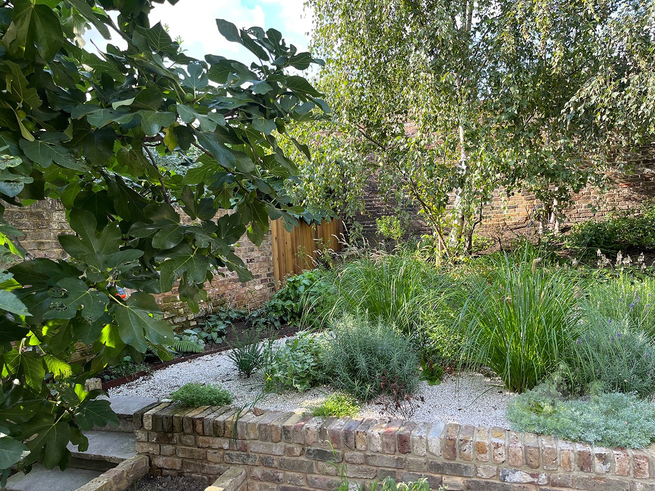 A lush garden scene featuring various plants and trees, with a pathway winding through the greenery.