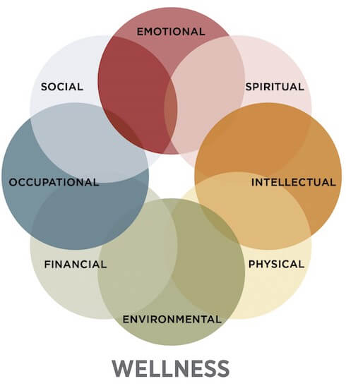 8 Dimensions of Wellness: Emotional, Spiritual, Intellectual, Physical, Environmental, Fianncial, Occupational, Social