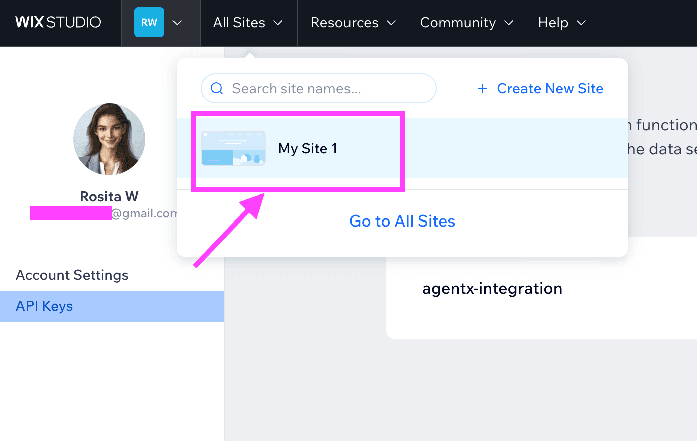AgentX integration - Wix - step 4