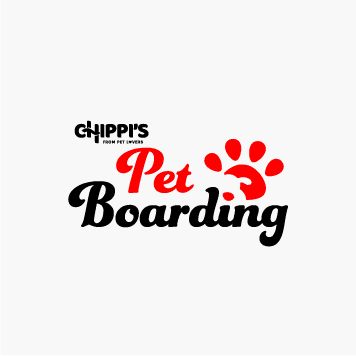 Logo 31