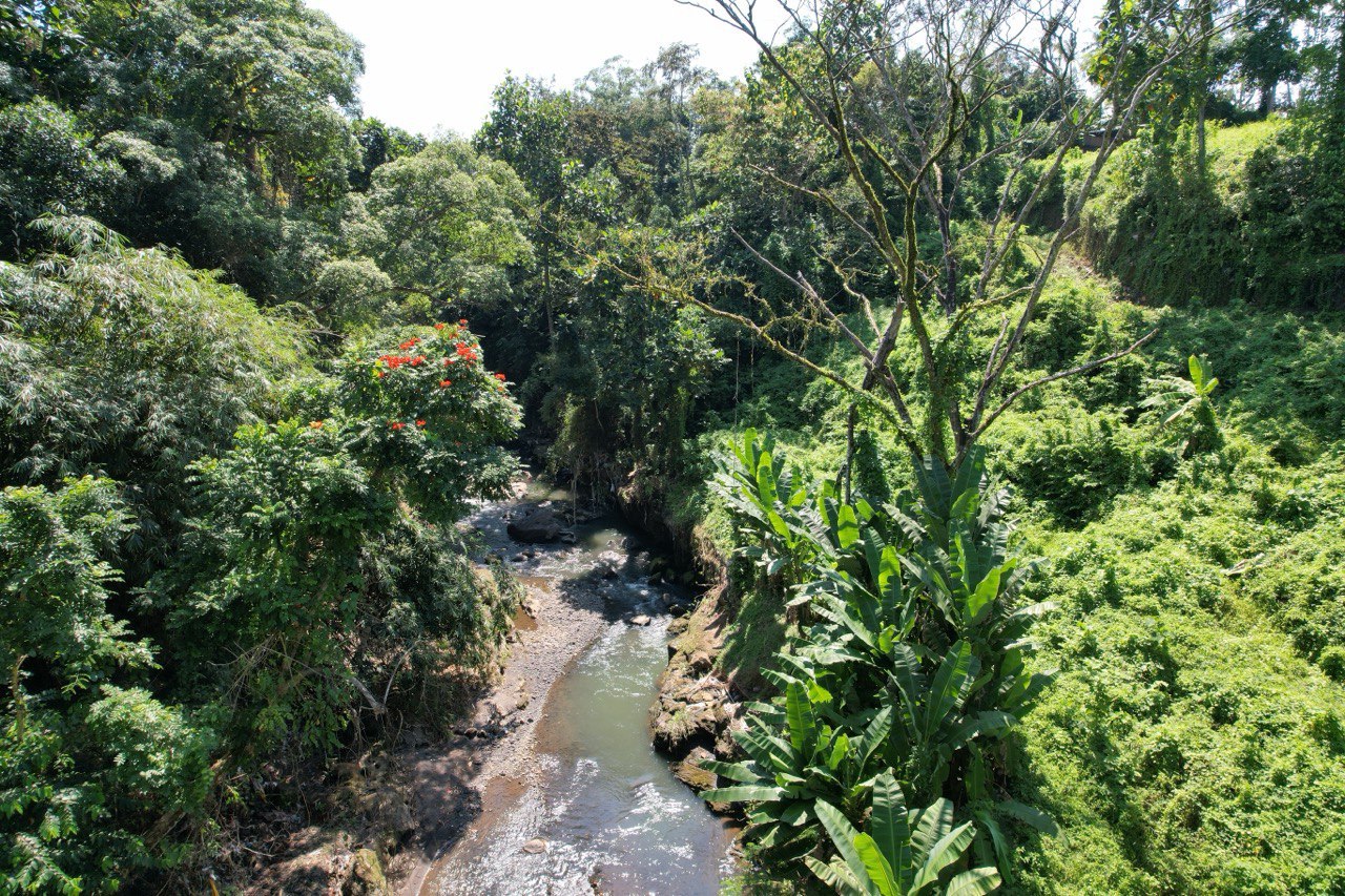 3700 m² Freehold land plot with canyon in Tabanan, Kaba Kaba
