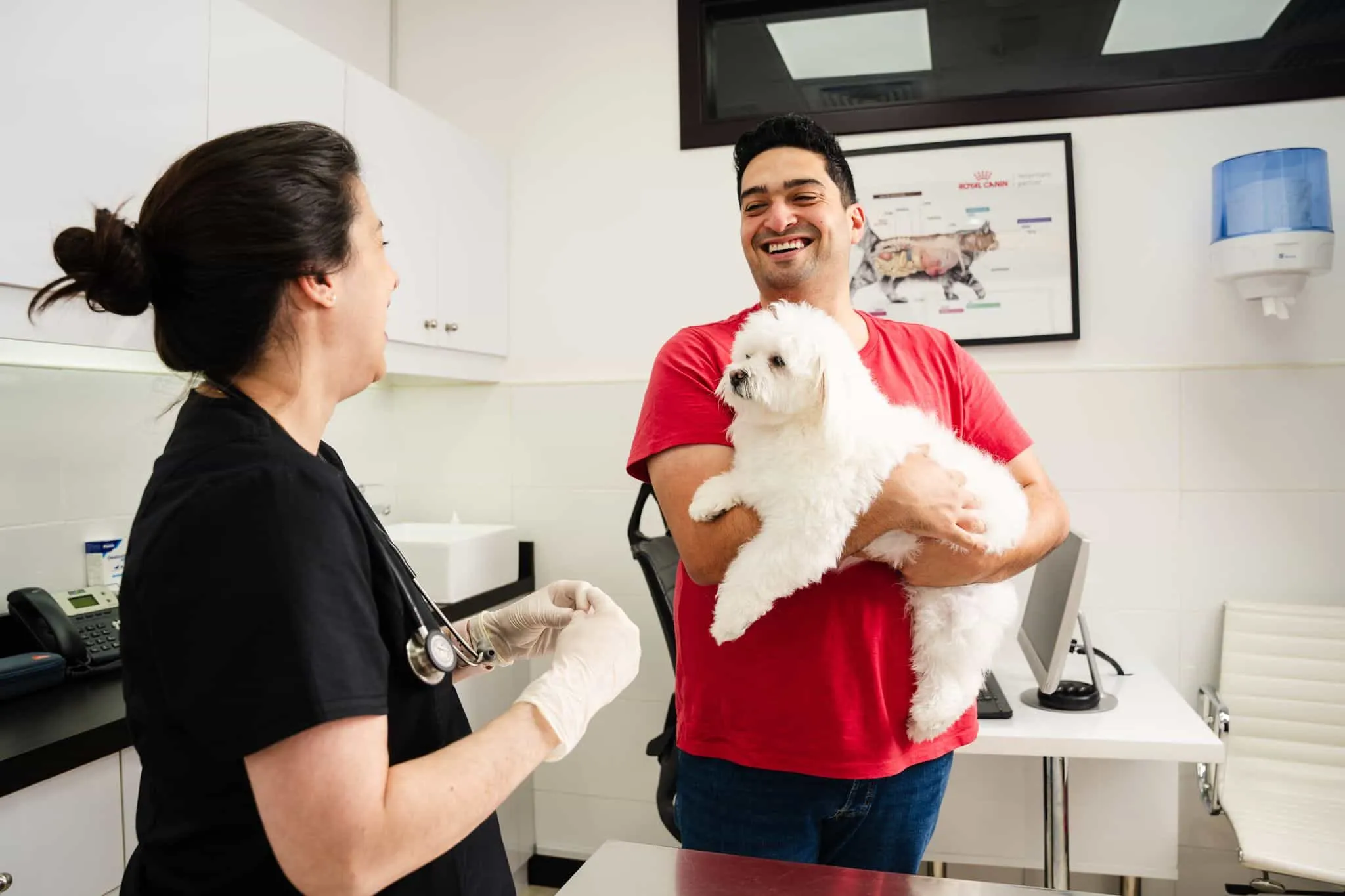 A pet owner is talking to a veterinarian about his dog's health.