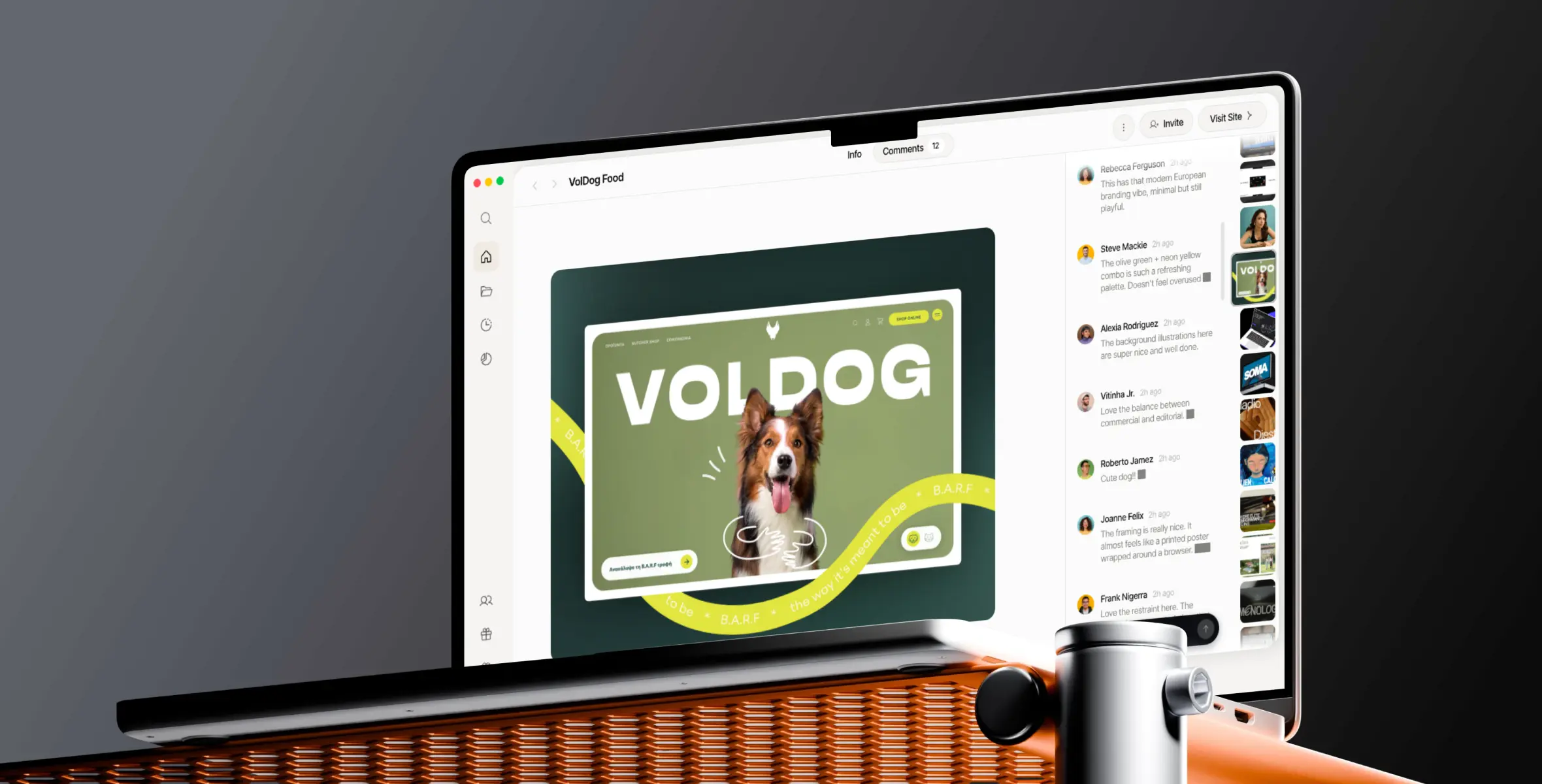 Mimmir’s collaborative review view showing a VolDog design reference and a comments panel.