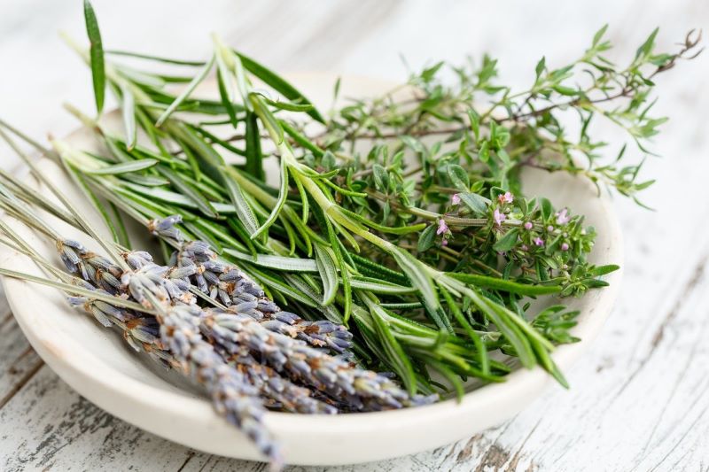 Timo e altre erbe aromatiche