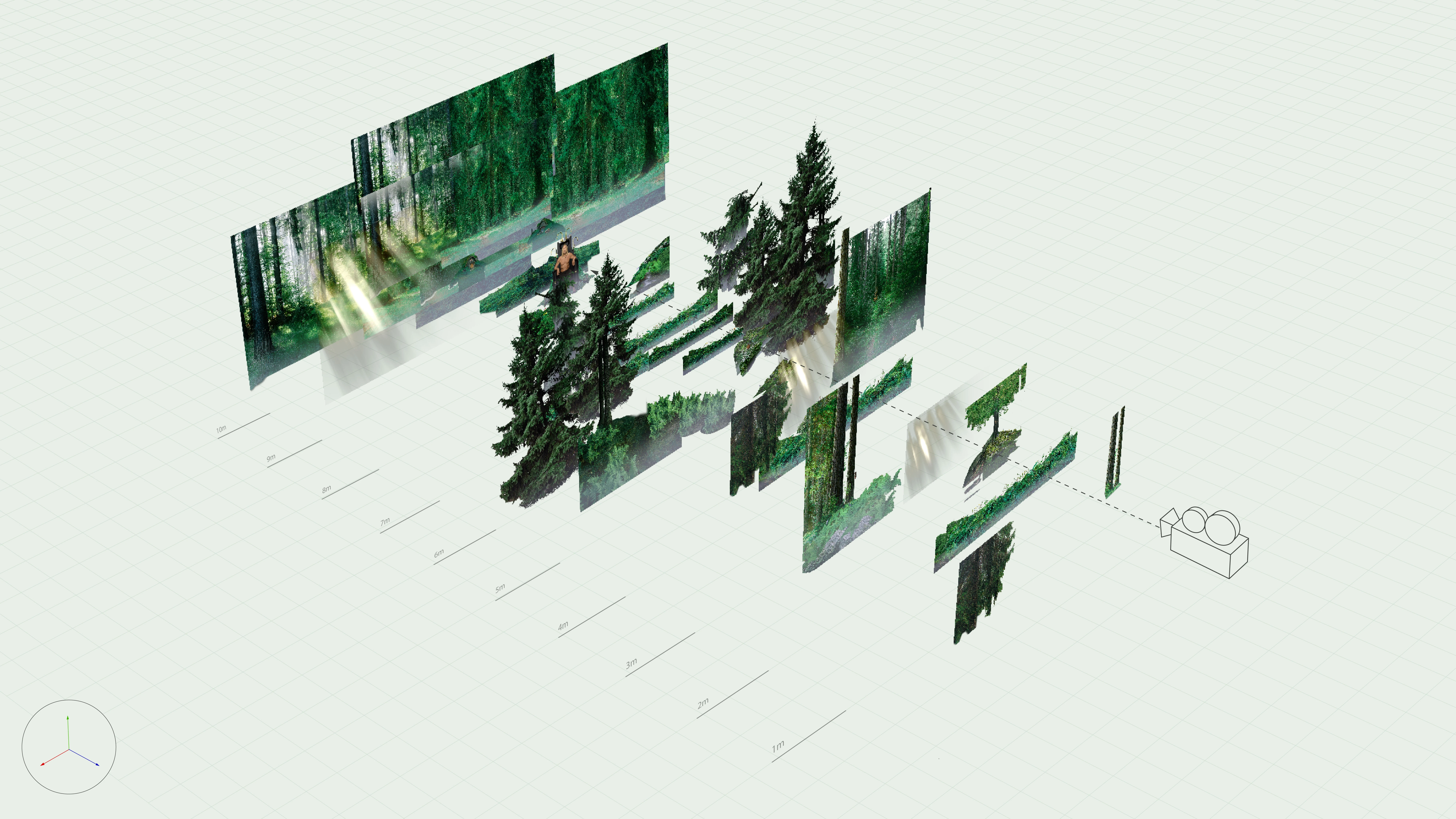 Cut-out forest pictures laid out in 3D space