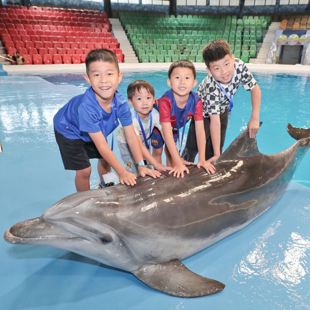Four children touching a dolphin lying on the ground at the Dubai Dolphinarium, part of things to do in Dubai with family.
