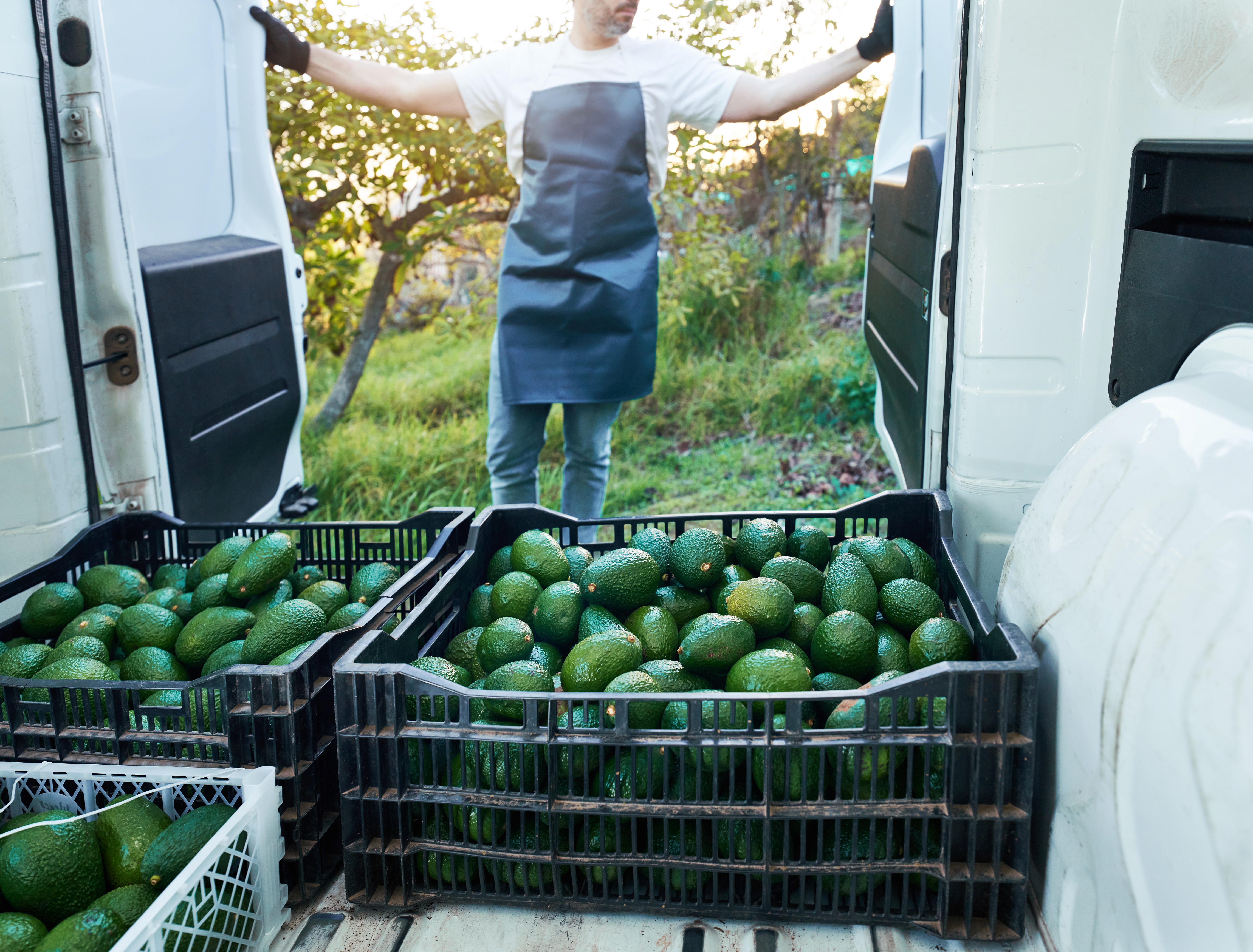 Electronic products (monitor, laptop, tablet, phone) on a table.