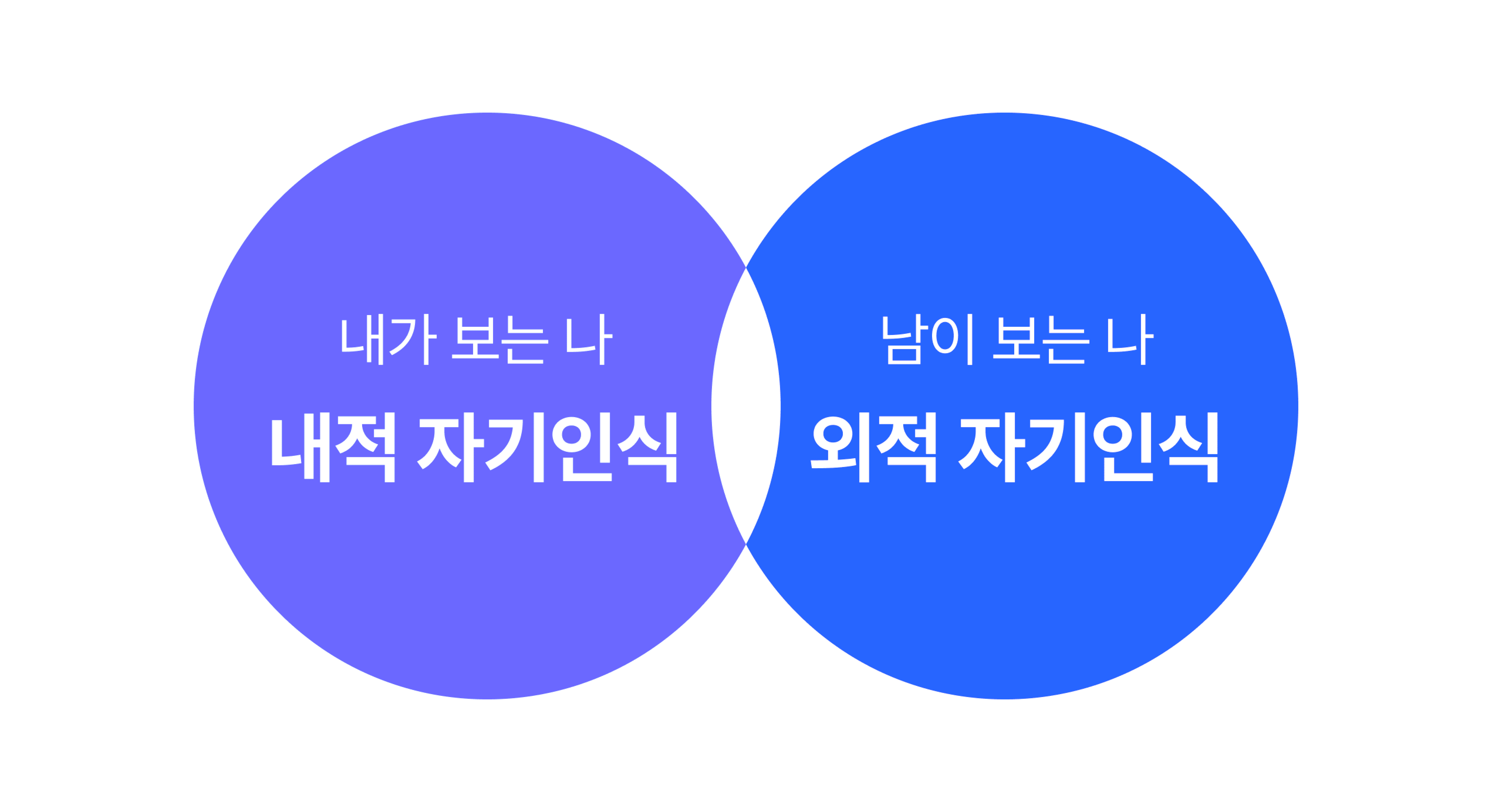 자기인식의 종류