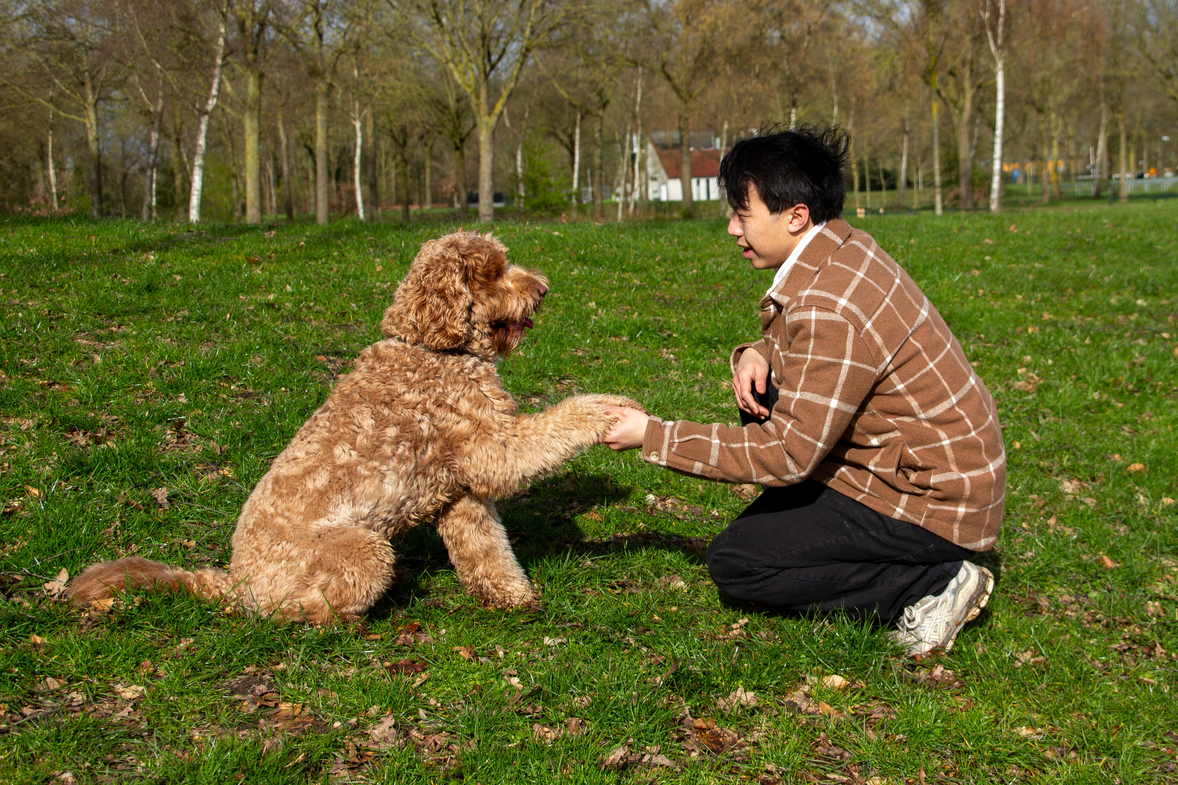 Your dog with a dog sitter via Charly Cares