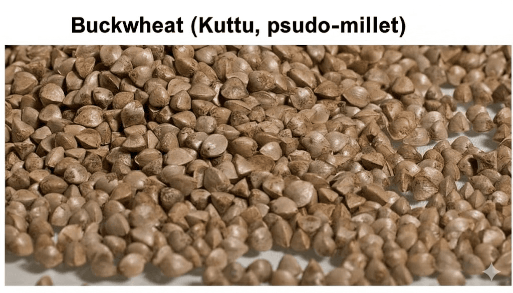 Buckwheat Kuttu