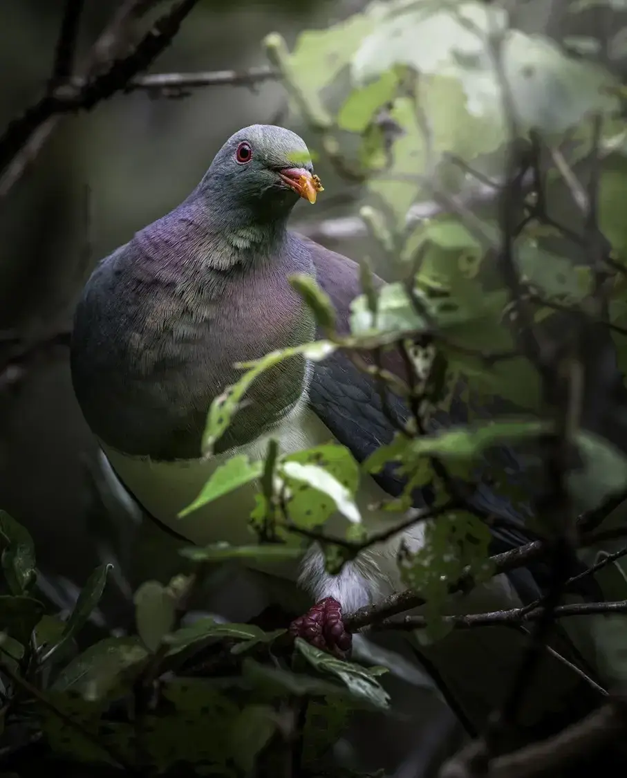 Serene Landscape Scene