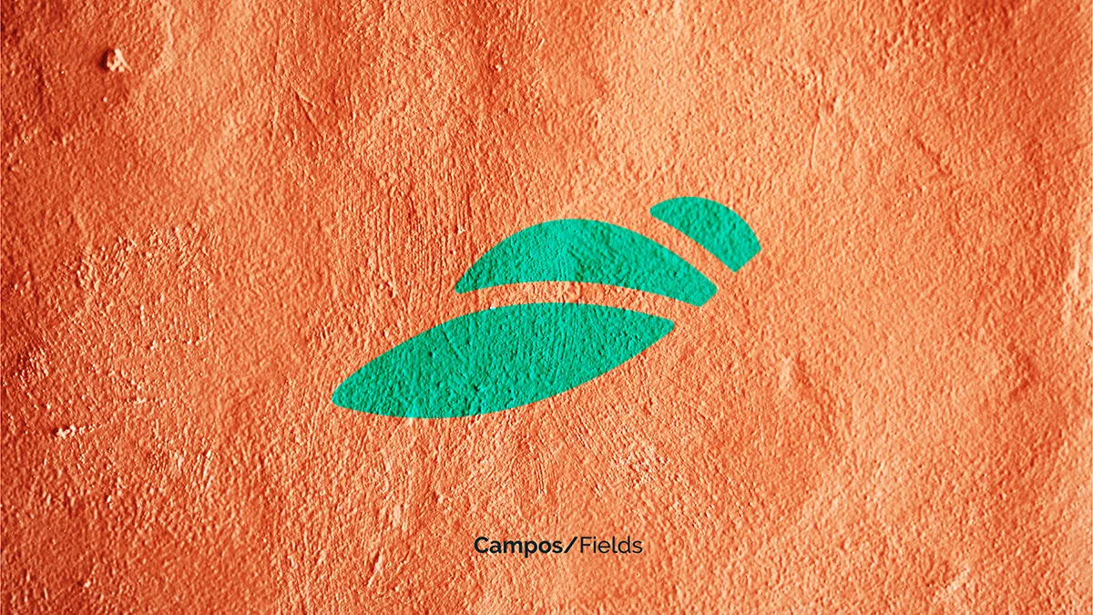 Provida rebrand key visual ecosystem fields element