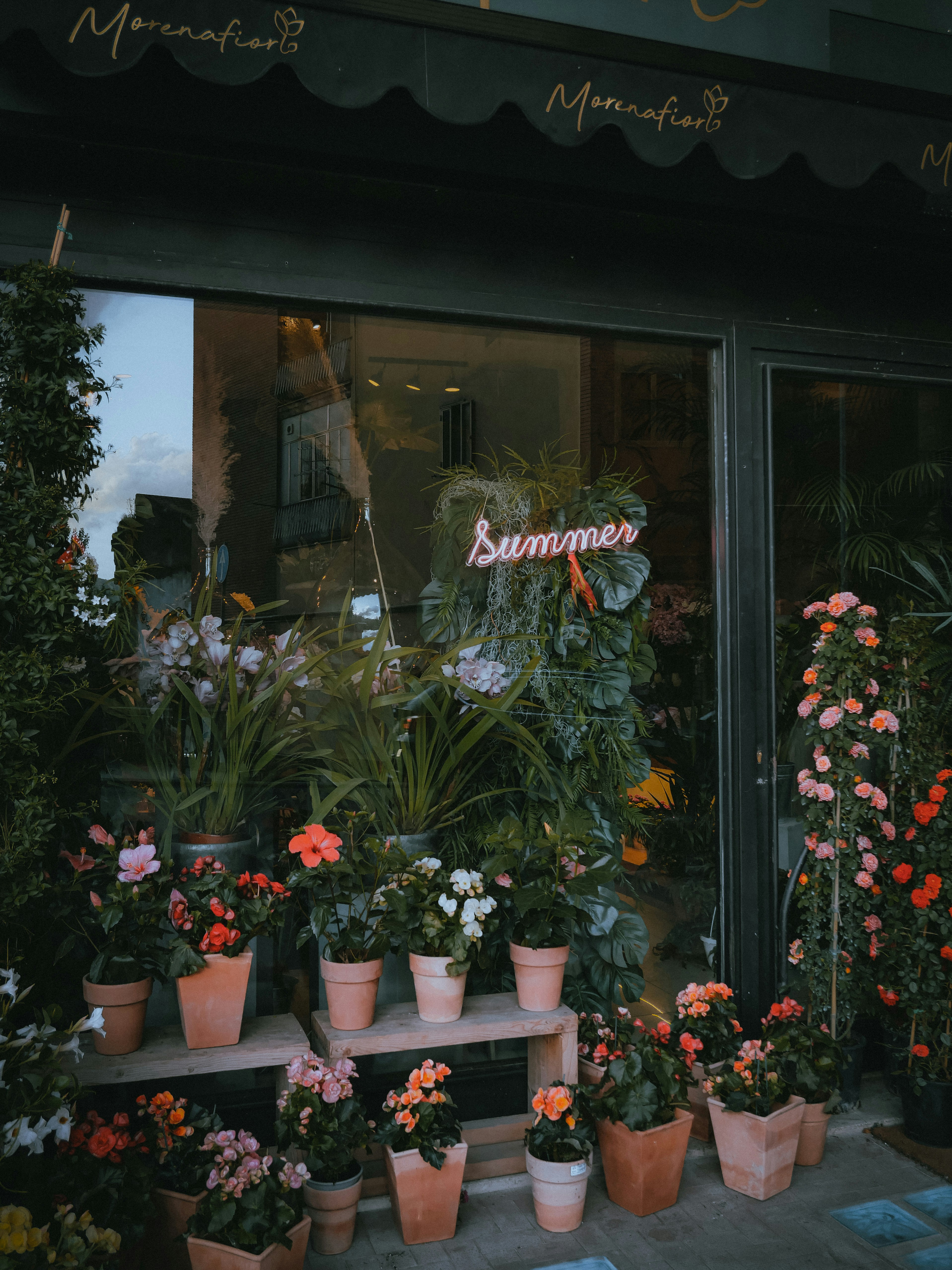 red and yellow flowers in front of glass window